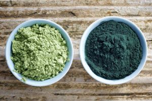 Chlorelle contre spiruline : les algues et leur apport pour la santé, selon une diététicienne