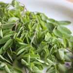Qu’est-ce que la poudre de moringa et comment puis-je l’utiliser ?
