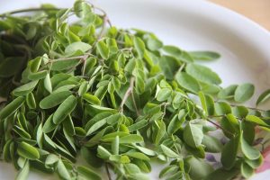 Qu’est-ce que la poudre de moringa et comment puis-je l’utiliser ?