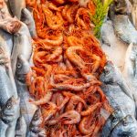 Guide complet sur le collagène marin : bienfaits et effets secondaires